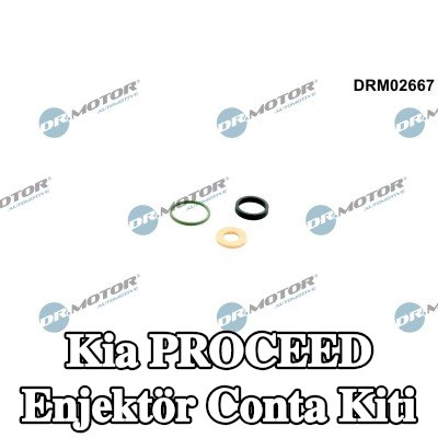 DR.MOTOR AUTOMOTIVE Enjektör conta kiti — 2016 Kia Proceed