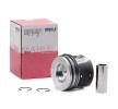 MAHLE Soğutma kanallı piston, piston segman taşıyıcısı ile — 2011 Ford Focus (1)