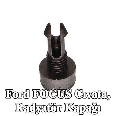 FORD Cıvata, radyatör kapağı — 2002 Ford Focus