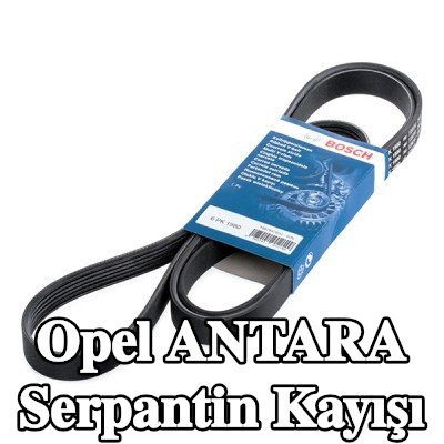 BOSCH Serpantin kayışı 1980mm, Number of ribs: 6 — 2012 Opel Antara