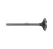 DT Spare Parts Emme valfi — 2003 Citroën Relay (1)