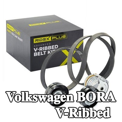 RIDEX PLUS مجموعة أحزمة V-Ribbed — 2000 Volkswagen Bora