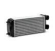 RIDEX Intercooler — Peugeot 206 (2)