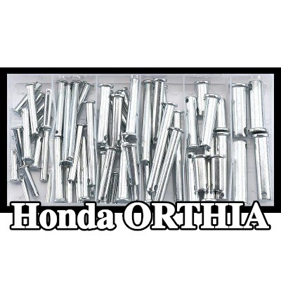 SONIC غطاء، الحافة الأمامية — Honda Orthia