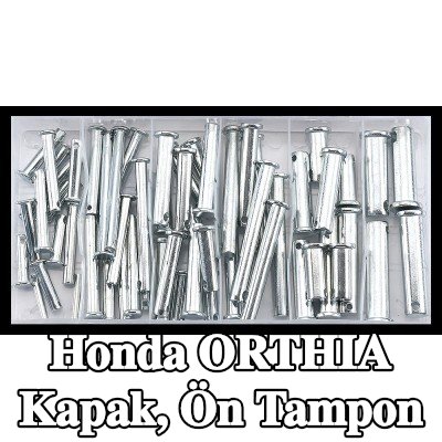 SONIC Kapak, ön tampon — Honda Orthia