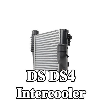 HELLA Intercooler — DS Ds4