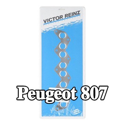 REINZ حشية مشعب العادم — Peugeot 807
