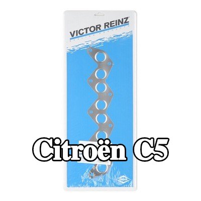 REINZ حشية مشعب العادم — Citroën C5
