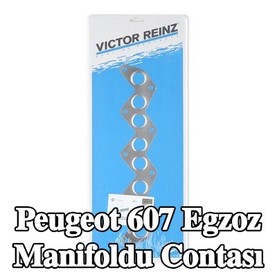 REINZ Egzoz manifoldu contası — Peugeot 607