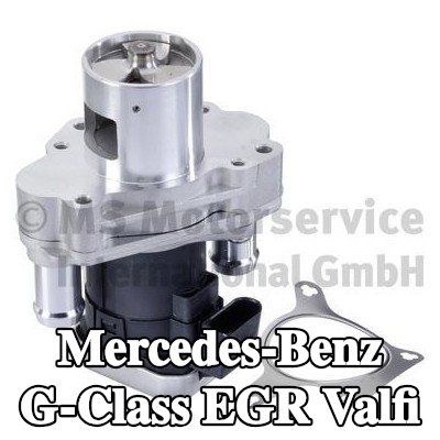 PIERBURG Contalı/sızdırmazlık elemanlı EGR valfi — 2008 Mercedes-Benz G-Class