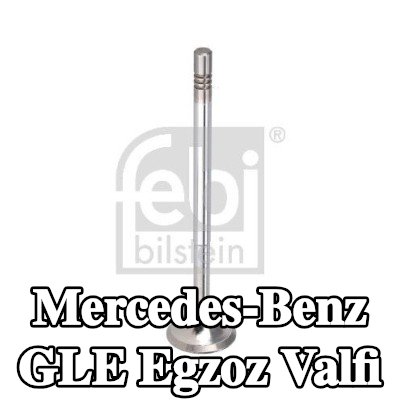 FEBI BILSTEIN Egzoz valfi — 2016 Mercedes-Benz Gle