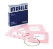 MAHLE Piston Segman Kiti — 2000 BMW Z3 (1)