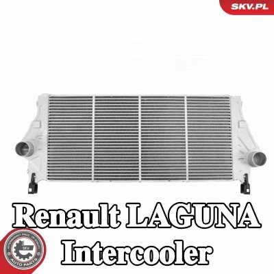 ESEN SKV Intercooler — 2000 Renault Laguna