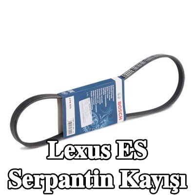 BOSCH Serpantin kayışı 875mm, Number of ribs: 4 — 2002 Lexus Es