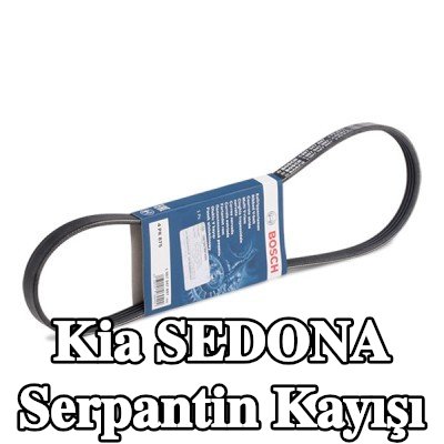 BOSCH Serpantin kayışı 875mm, Number of ribs: 4 — 2002 Kia Sedona