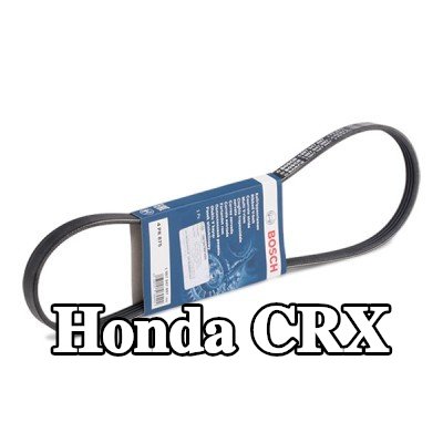 BOSCH حزام سيربنتين 875mm, Number of ribs: 4 — Honda Crx