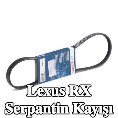 BOSCH Serpantin kayışı 875mm, Number of ribs: 4 — 2002 Lexus Rx