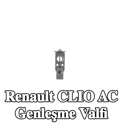 MAHLE AC genleşme valfi — Renault Clio