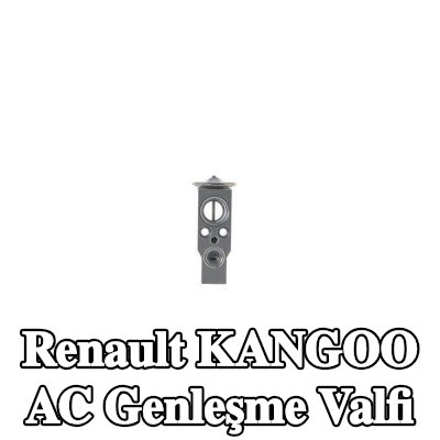 MAHLE AC genleşme valfi — Renault Kangoo