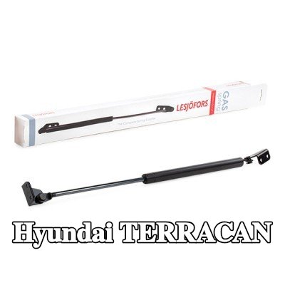 LESJÖFORS دعامة الباب الخلفي اليمنى الخلفية — Hyundai Terracan