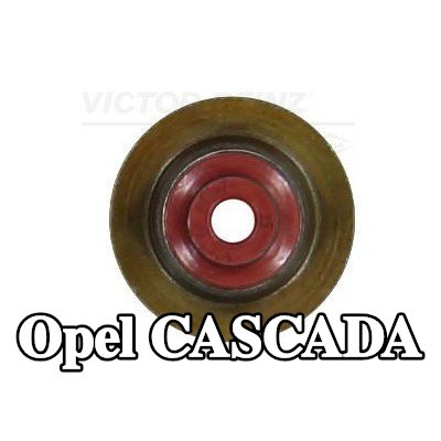 REINZ حشية صمام — Opel Cascada