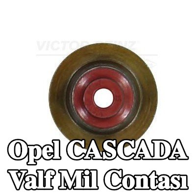 REINZ Valf mil contası — Opel Cascada