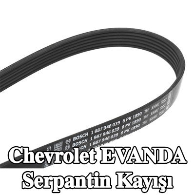 BOSCH Serpantin kayışı 1890mm, Number of ribs: 6 — Chevrolet Evanda