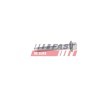 FAST Enjektör kelepçe cıvatası — Ford Focus (3)