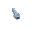 RENAULT Tekerlek Cıvatası M14x1.5 — Renault Rafale (1)