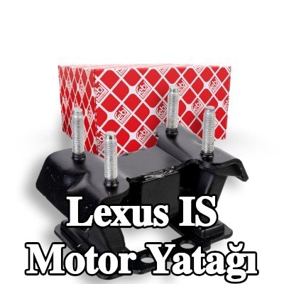 FEBI BILSTEIN Motor yatağı, arka — Lexus Is