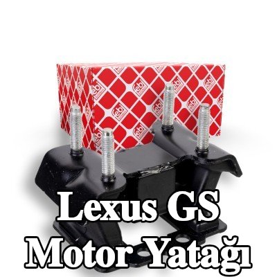 FEBI BILSTEIN Motor yatağı, arka — Lexus Gs