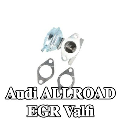 NRF Contalı/sızdırmazlık elemanlı EGR valfi — Audi Allroad