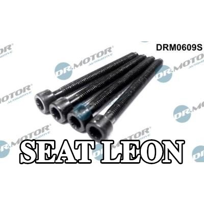 DR.MOTOR AUTOMOTIVE برغي الضبط، مضخة الحقن — SEAT Leon