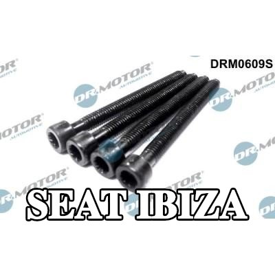 DR.MOTOR AUTOMOTIVE برغي الضبط، مضخة الحقن — SEAT Ibiza