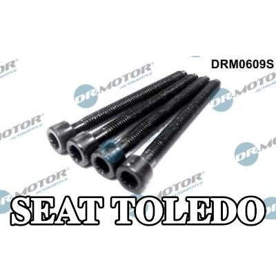 DR.MOTOR AUTOMOTIVE برغي الضبط، مضخة الحقن — SEAT Toledo