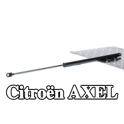 RIDEX دعامة الباب الخلفي 585mm — Citroën Axel