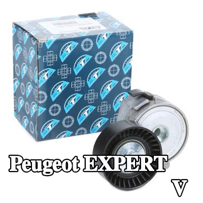 BTA ذراع الموتر، الحزام المضلع على شكل V — 2002 Peugeot Expert