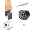 RIDEX Servis kiti — Renault Scénic (1)