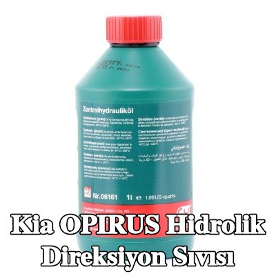 FEBI BILSTEIN Hidrolik direksiyon sıvısı — 2003 Kia Opirus
