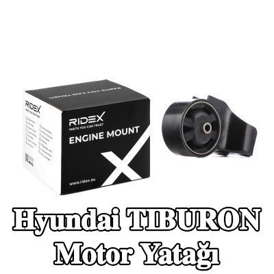 RIDEX Motor yatağı, arka — Hyundai Tiburon