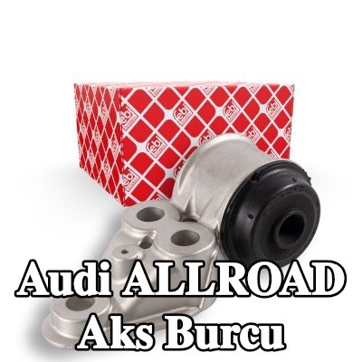 FEBI BILSTEIN Arka aks sol burcu — Audi Allroad