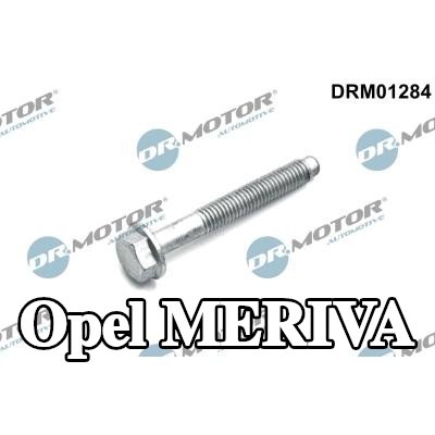 DR.MOTOR AUTOMOTIVE برغي مشبك الحاقن — Opel Meriva