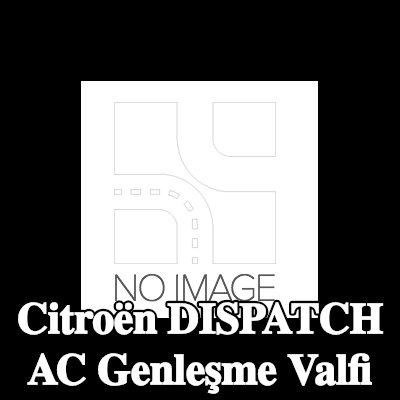 BOSCH Montaj kılavuzu ile klima genleşme valfi — 2012 Citroën Dispatch