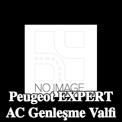 BOSCH Montaj kılavuzu ile klima genleşme valfi — Peugeot Expert