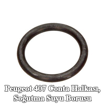 CITROEN/PEUGEOT Conta halkası, soğutma suyu borusu — Peugeot 407