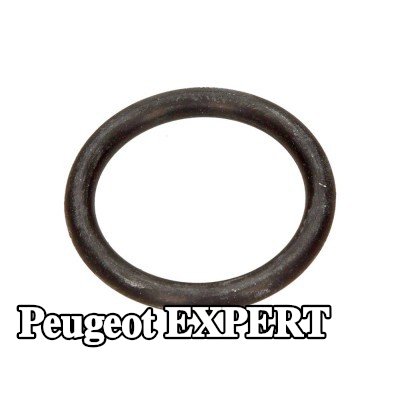 CITROEN/PEUGEOT حلقة مانعة للتسرب، أنبوب سائل التبريد — Peugeot Expert