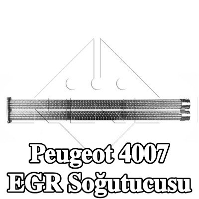 NRF Montaj parçaları dahil EGR soğutucu — Peugeot 4007