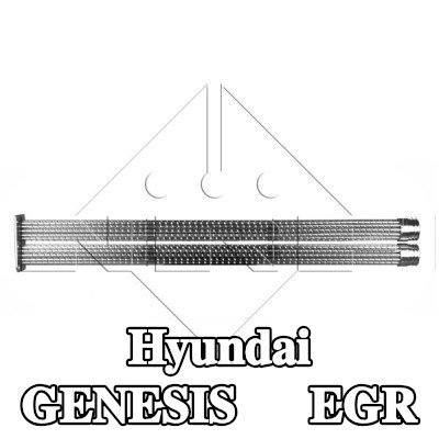 NRF مبرد EGR مع أجزاء التثبيت — Hyundai Genesis