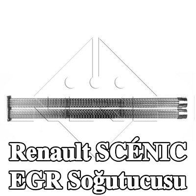 NRF Montaj parçaları dahil EGR soğutucu — 2012 Renault Scénic