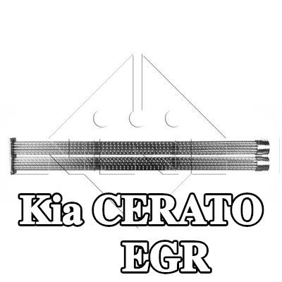 NRF مبرد EGR مع أجزاء التثبيت — 2012 Kia Cerato